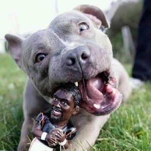 Meet your Posher, Sherri